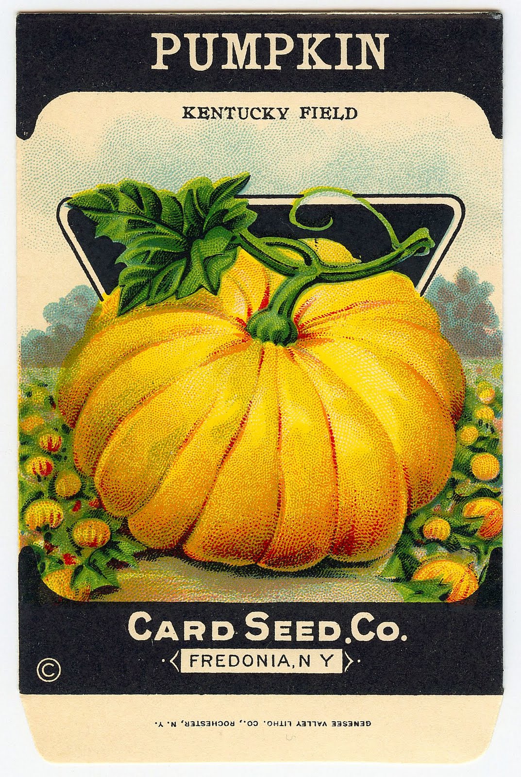 Vintage Halloween Clip Art   Adorable Pumpkin Seed Packet   The    