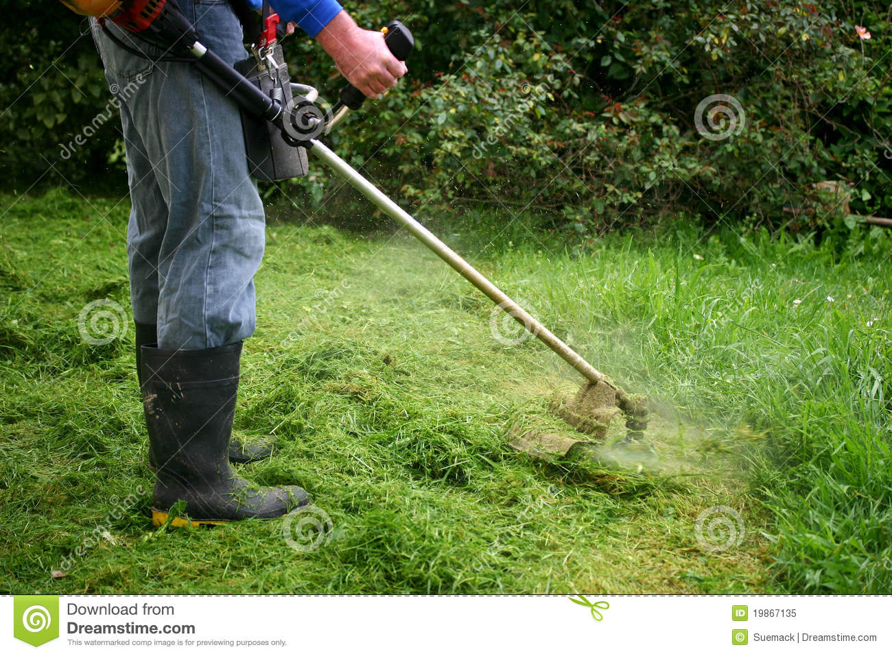 Weedeating An Overgrown Lawn Royalty Free Stock Photo   Image