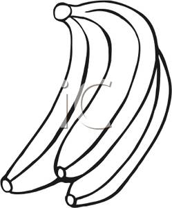 Black And White Banana Bunch   Royalty Free Clipart Picture