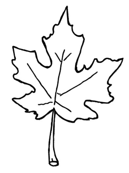 Fall Leaves Coloring Pages Autumn Leaves Coloring Pages Jpg