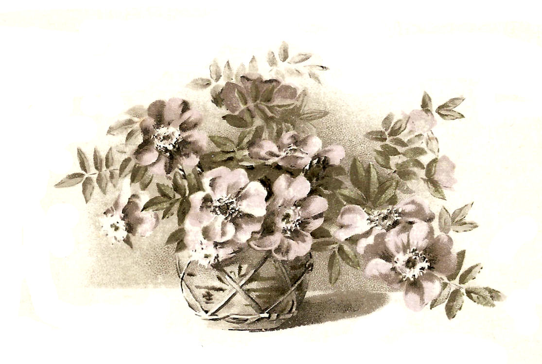 Free Flower Clip Art  Vintage Rustic Flower Basket Illustration