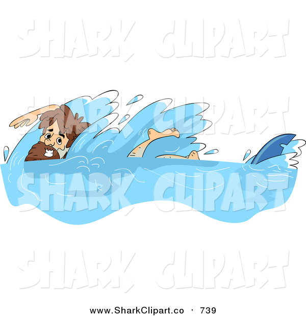 From A Shark Fin Shark Clip Art Bnp Design Studio