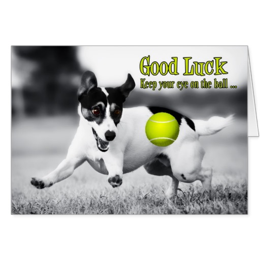 Good Luck New Job Dog Good Luck Terrier Dog Greeting Card  Nice Card    