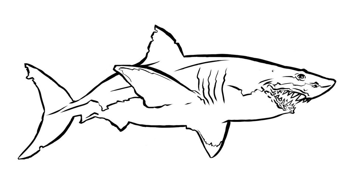 Great White Shark By Ianouterspacechase On Deviantart