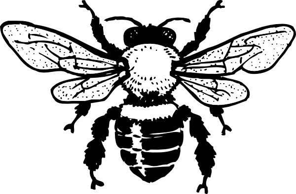 Honey Bee Clip Art At Clker Com   Vector Clip Art Online Royalty Free