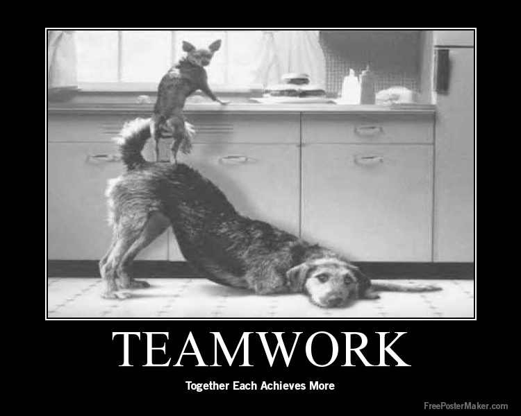 Teamwork Quotes   Best Quotes For Your Life