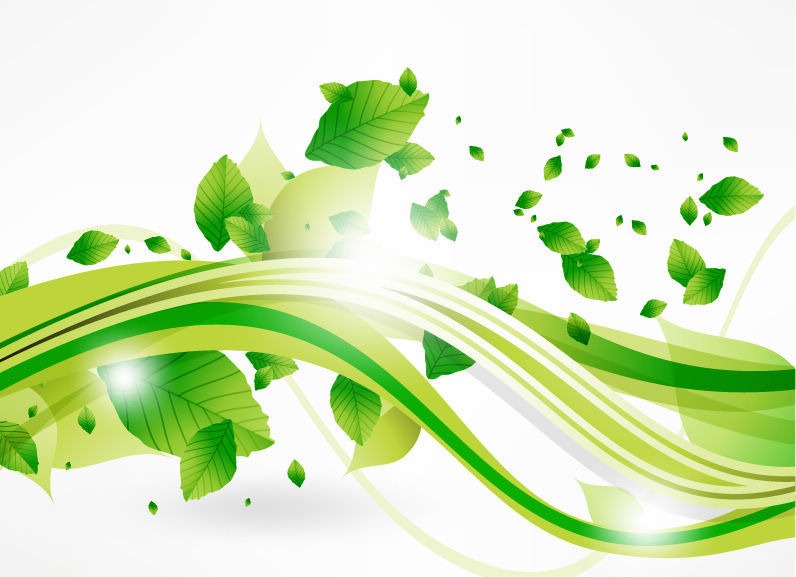 Vector Eco Leaves And Green Wave   Free Vector Graphics   All Free Web