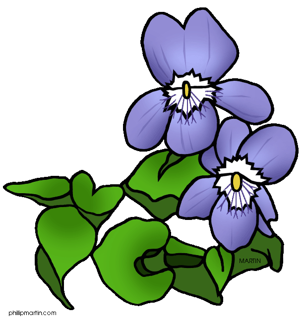 African Violet Flower Clipart Violet Flower Clip Art