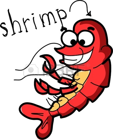 Cooked Shrimp Clipart   Clipart Panda   Free Clipart Images