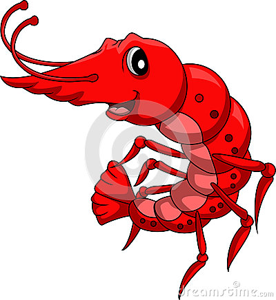 Cute Shrimp Cartoon Royalty Free Stock Photography   Image  30892577