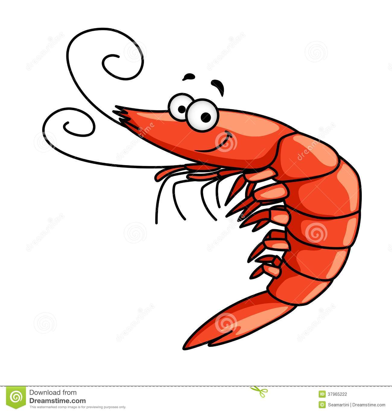 Happy Prawn Or Shrimp With Curly Feelers Stock Photography   Image