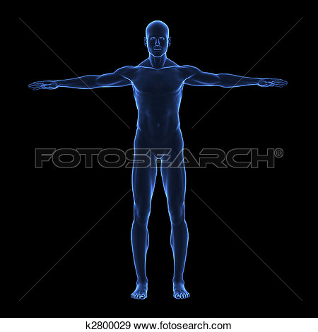 Illustration   X Ray Human Body  Fotosearch   Search Vector Clipart