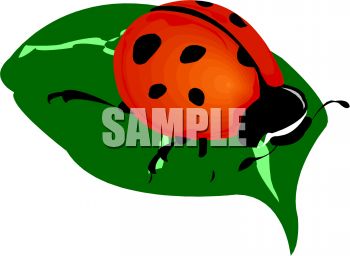 Ladybug On A Leaf Clip Art   Royalty Free Clipart Illustration