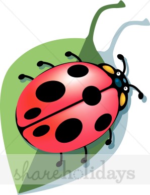 Ladybug On Leaf Clipart