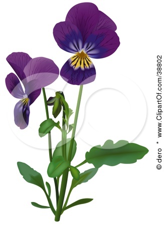Pansy Clipart Viola Clipart Violet Flower Clip Art Violet Flower Clip