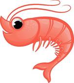 Shrimp Illustrations And Clipart