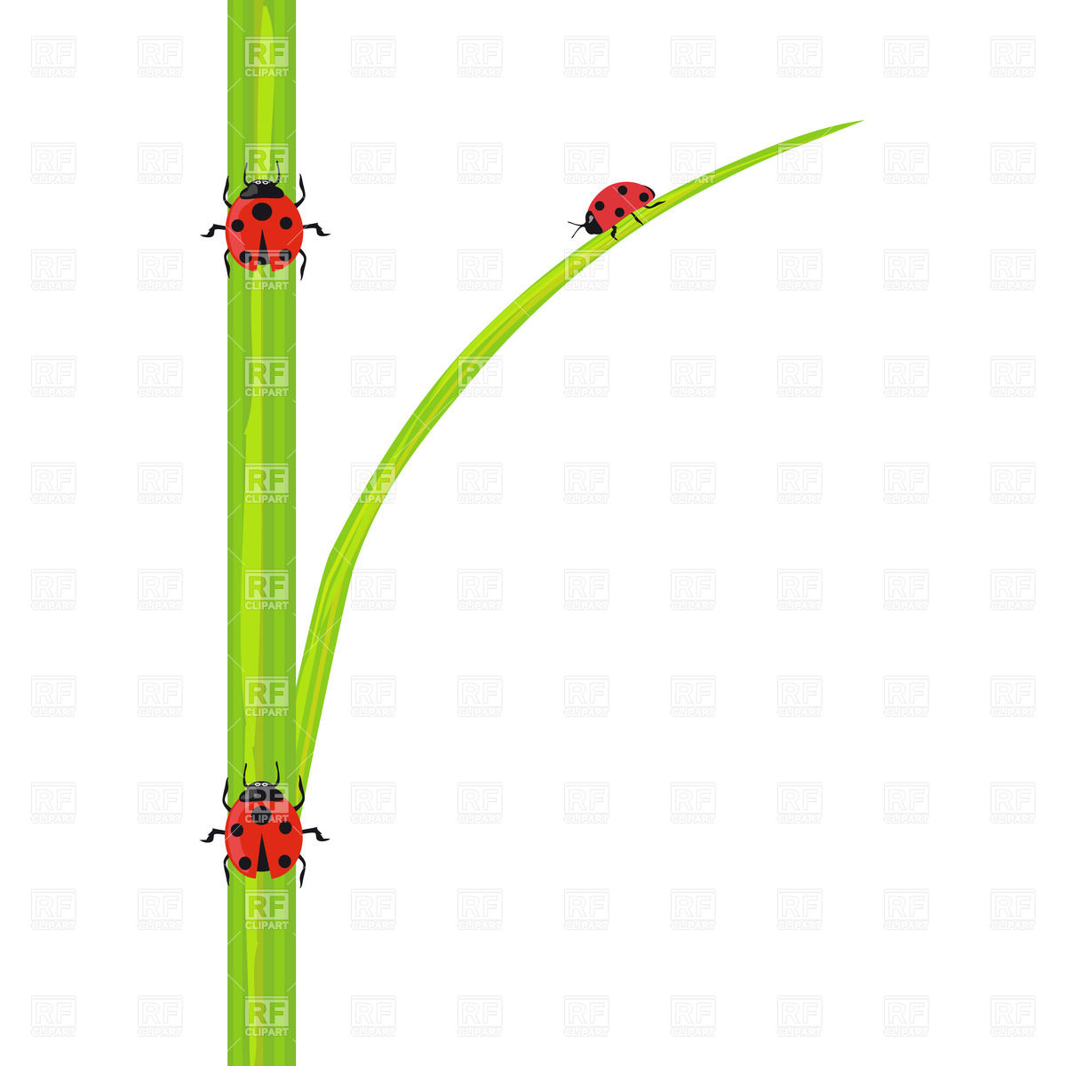 Stem Of Green Grass 24045 Download Royalty Free Vector Clipart  Eps