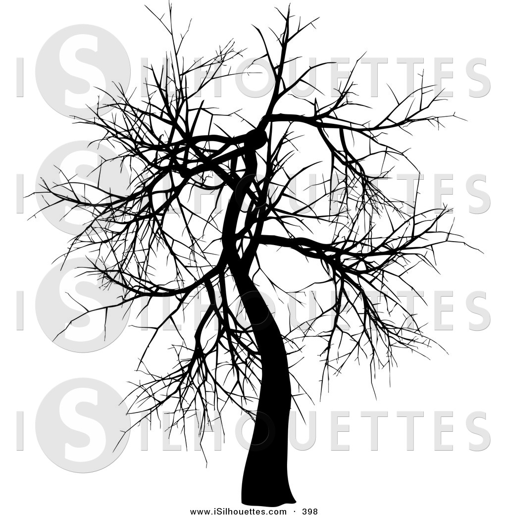 Bare Black Tree In Wintertime On White Trio Of Black Silhouetted Bare    