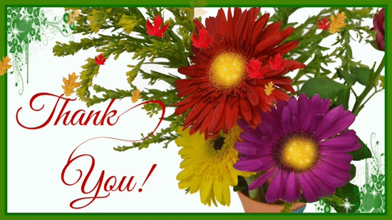 Cute Flowers Thank You Ecard  Free Flowers Ecards Greeting Cards