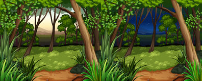 Daytime Forest Environment Stock Vectors Illustrations   Clipart