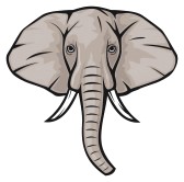 Elephant Face Clip Art 14836380 Elephant Head Jpg