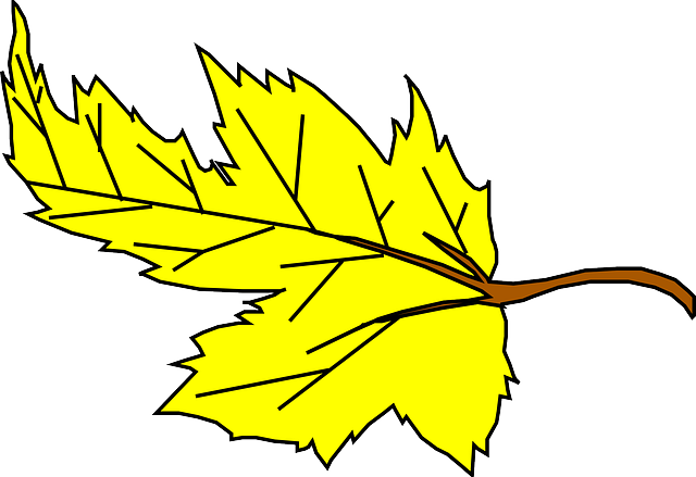 Fall Yellow Leaf Cartoon Plant Falling Leaves