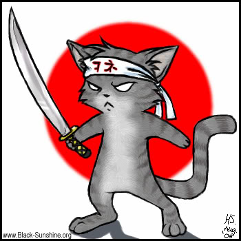 Ninja Cat Has To Be The Most Awesomest Kitty Out There Right Now  And    