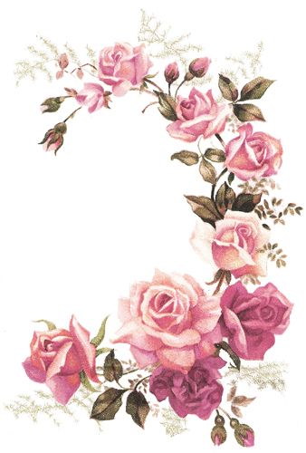 Tea Rose Corner Swags Shabby Waterslide Decals  Furniture Size    Rose    