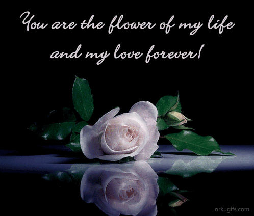 You Are The Love Of My Life And My Love Forever    Images And E Cards