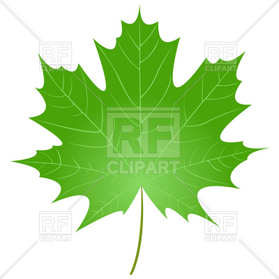 And Animals   Green Maple Leaf Download Royalty Free Vector Clipart