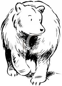 Black And White Grizzly Bear Clip Art Image 