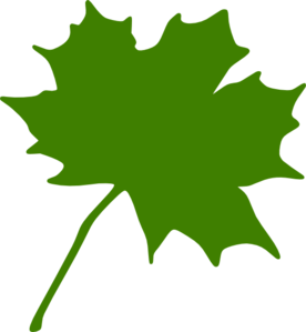 Green Maple Leaf Clipart Green Maple Leaf Md Png
