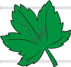 Maple Leaf   Vector Clipart