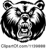 Of Bear Heads Black And White Grizzly Bear Head Kodiak Bear Head