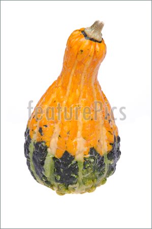 Yellow And Green Pear Shaped Gourd Isolated Over White