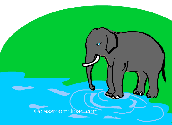 Animated Clipart  Elephant Spraying Water Cc   Classroom Clipart