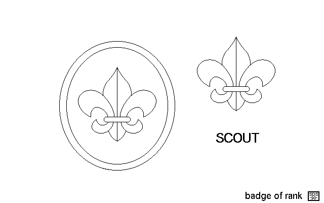Images In The Boy Scout Ranks Scout Directory