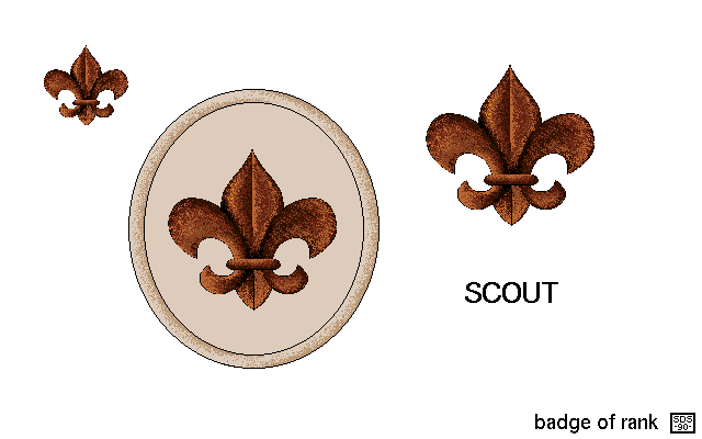 Images In The Boy Scout Ranks Scout Directory