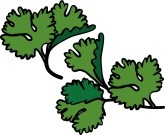 Parsley Sprigs Clipart