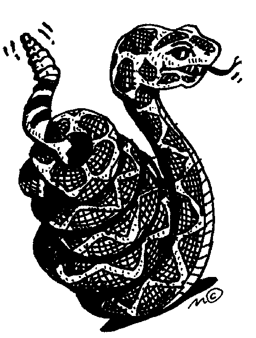 Rattlesnake   Logos   Mascots   Clip Art Gallery   Discoveryschool Com