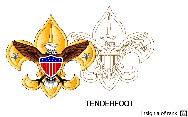 Tenderfoot Is The First Rank A Boy Scout Can Earn  The Requirements