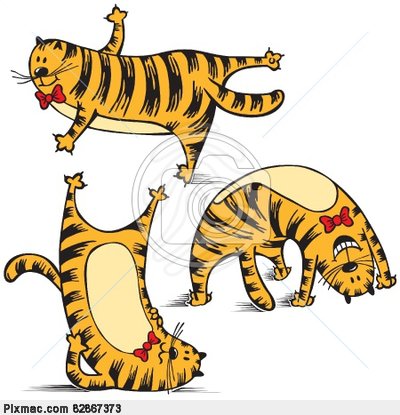 Vector Image Of Sports Funny Cat Makes Exercise   Vector Graphics And