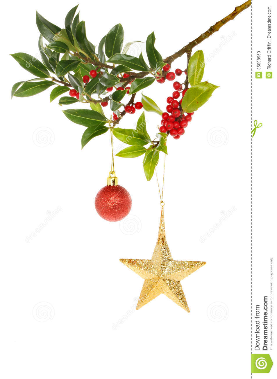 Berry Laden Holly Bough Decorated With A Christmas Star And Bauble