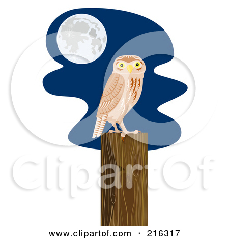 Royalty Free Owl Illustrations By Patrimonio Page 1