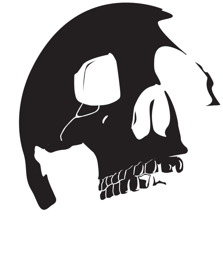 Vector Skull 2