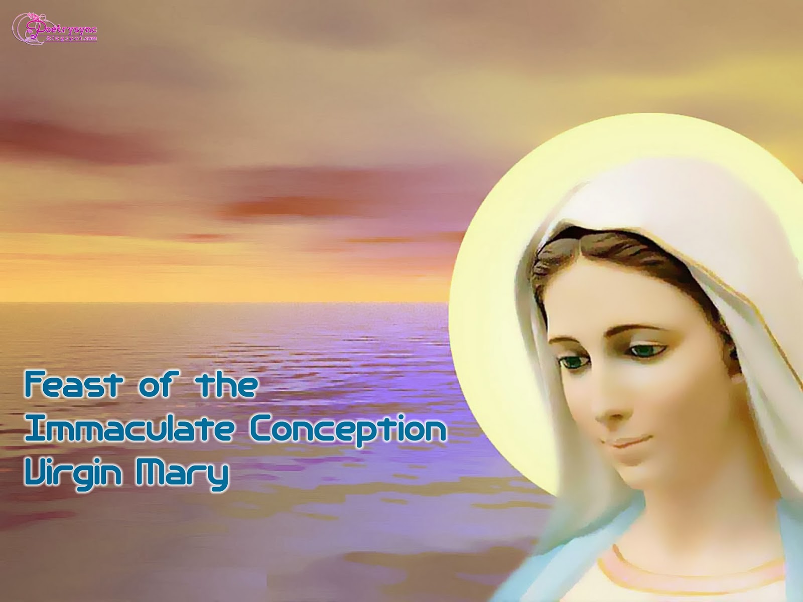 Virgin Mary Pictures And Wallpapers Feast Of The Immaculate Conception