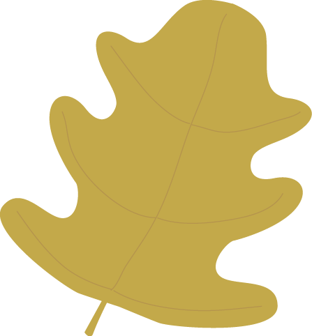 Gold Oak Autumn Leaf Clip Art Image   Large Golden Oak Leaf 