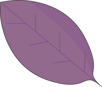 Purple Autumn Leaf Clip Art Image   Purple Leaf With A Black Outline
