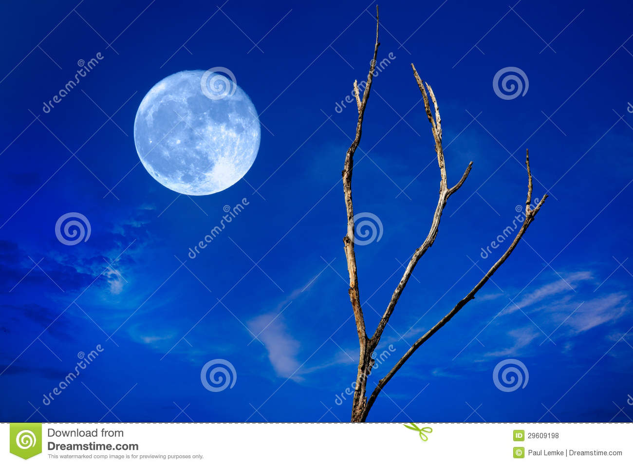 Related To Blue Full Moon Picture   Royalty Free Clipart Stock Photos