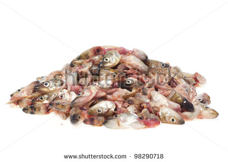 Trash Pile Clipart A Pile Fish Trash Isolated On